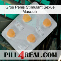 Gros Pénis Stimulant Sexuel Masculin 24